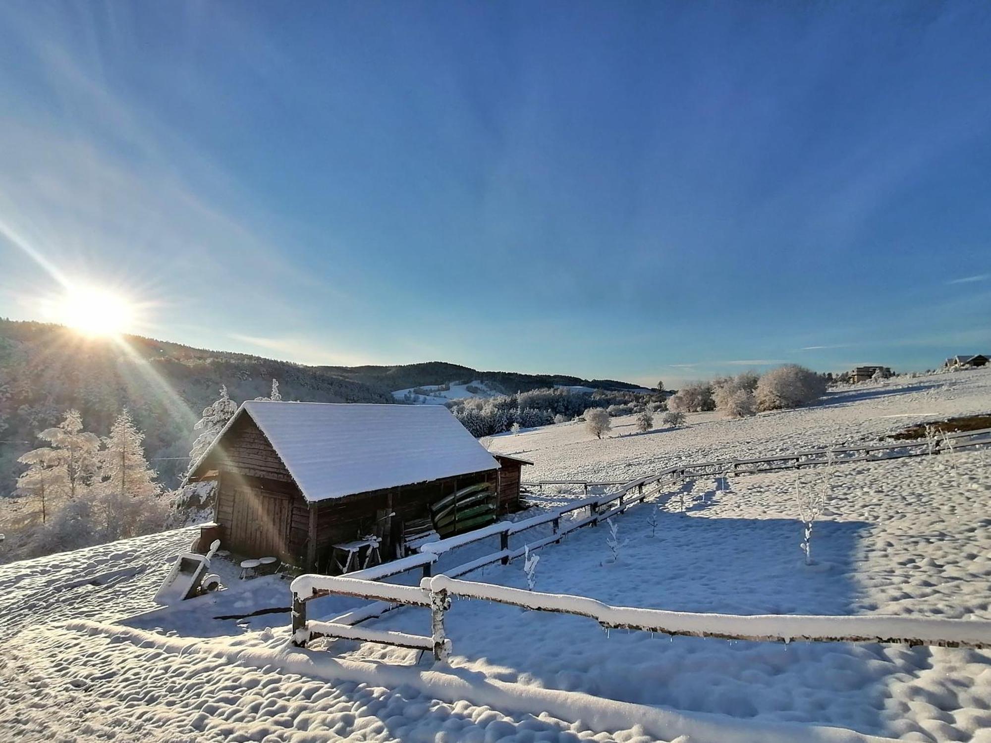 Chata W Bieszczadzie Apartamenty I Domki Z Sauna Bieszczady Поляньчик Экстерьер фото