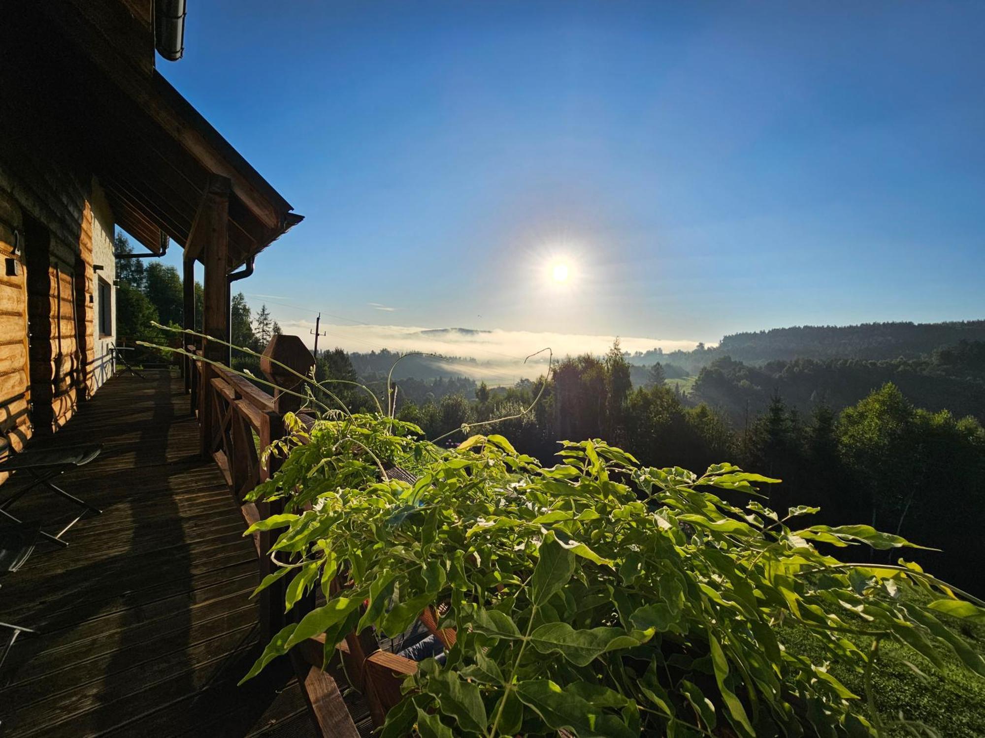 Chata W Bieszczadzie Apartamenty I Domki Z Sauna Bieszczady Поляньчик Экстерьер фото