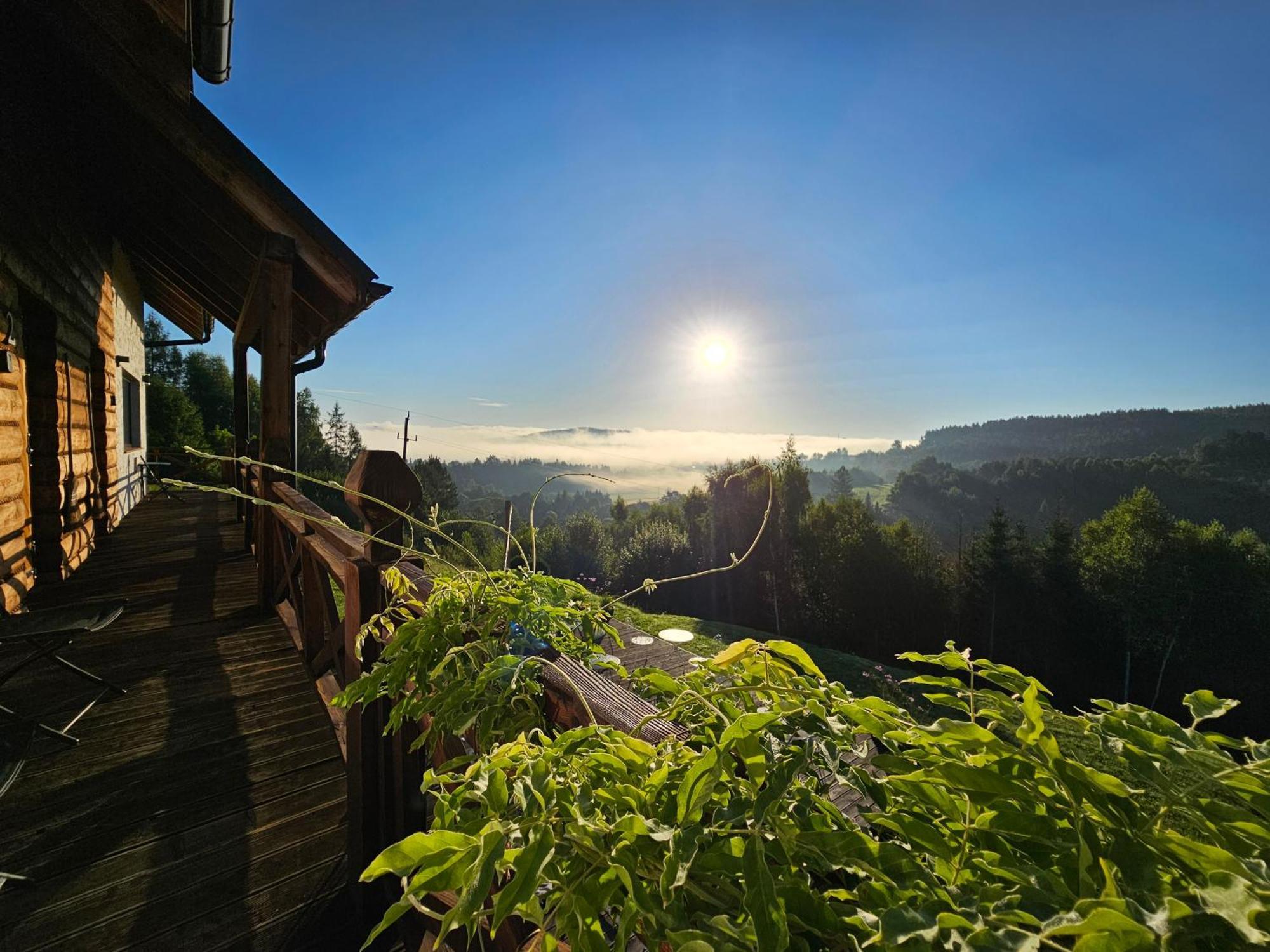 Chata W Bieszczadzie Apartamenty I Domki Z Sauna Bieszczady Поляньчик Экстерьер фото