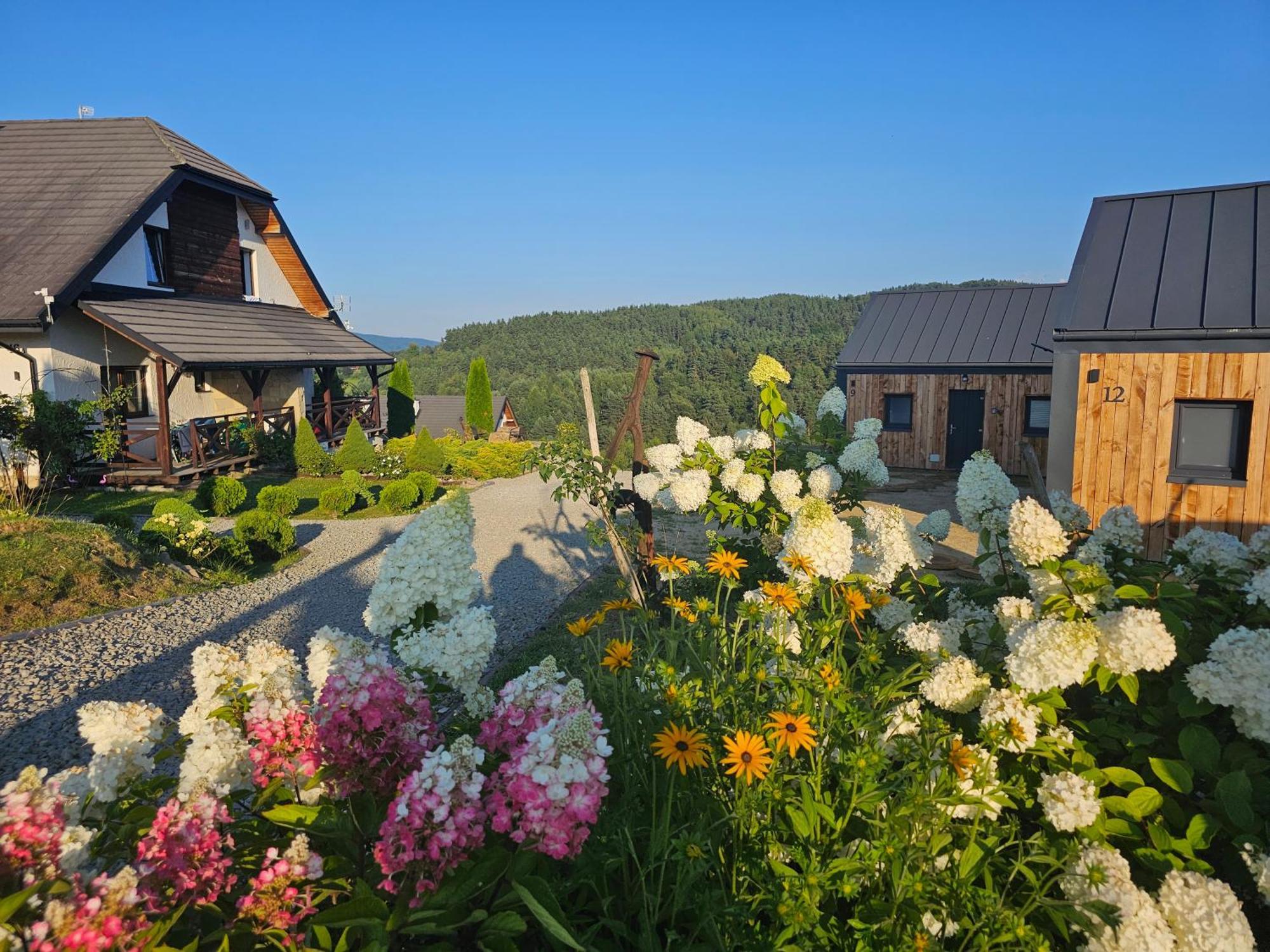 Chata W Bieszczadzie Apartamenty I Domki Z Sauna Bieszczady Поляньчик Экстерьер фото