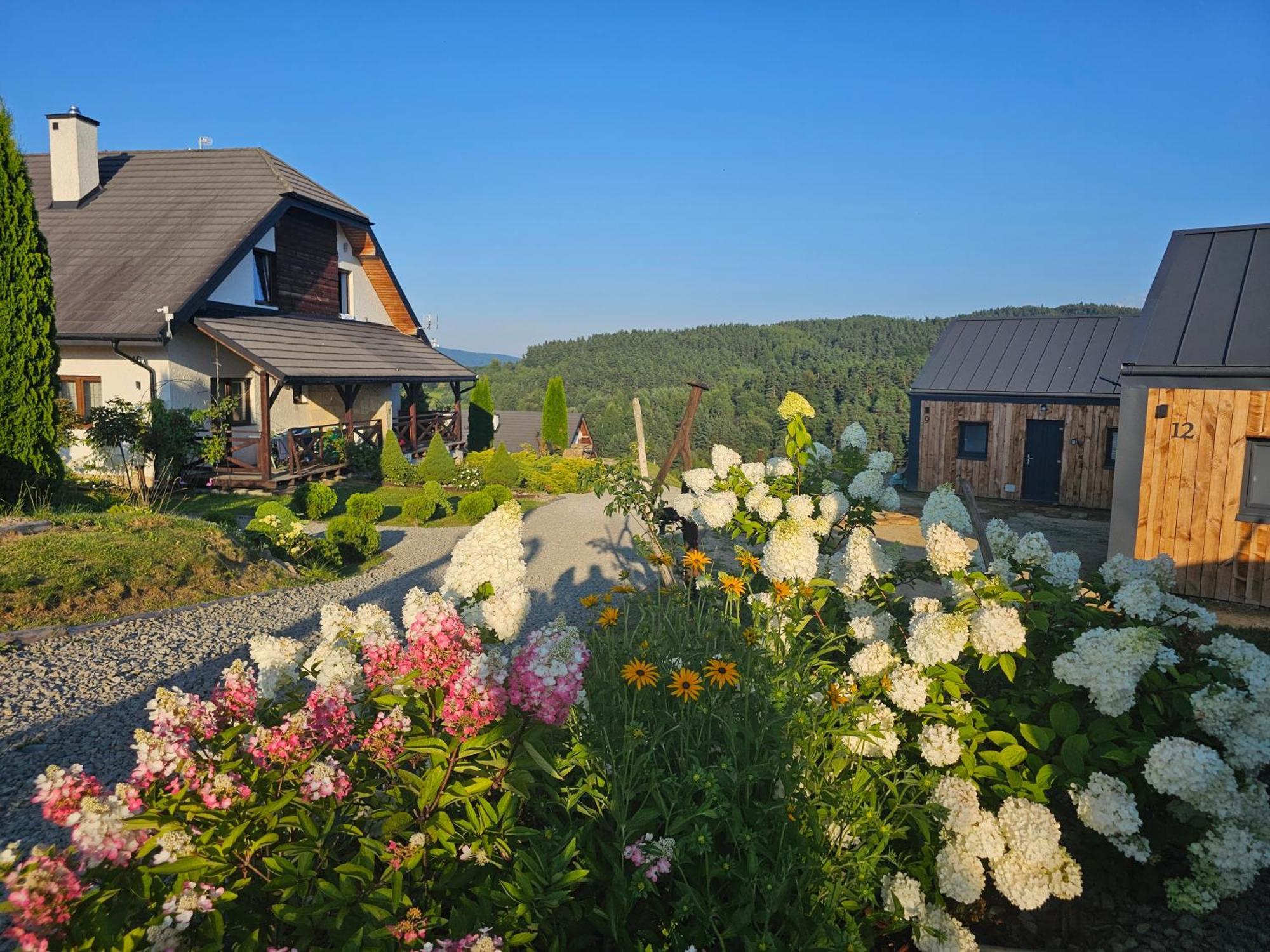 Chata W Bieszczadzie Apartamenty I Domki Z Sauna Bieszczady Поляньчик Экстерьер фото