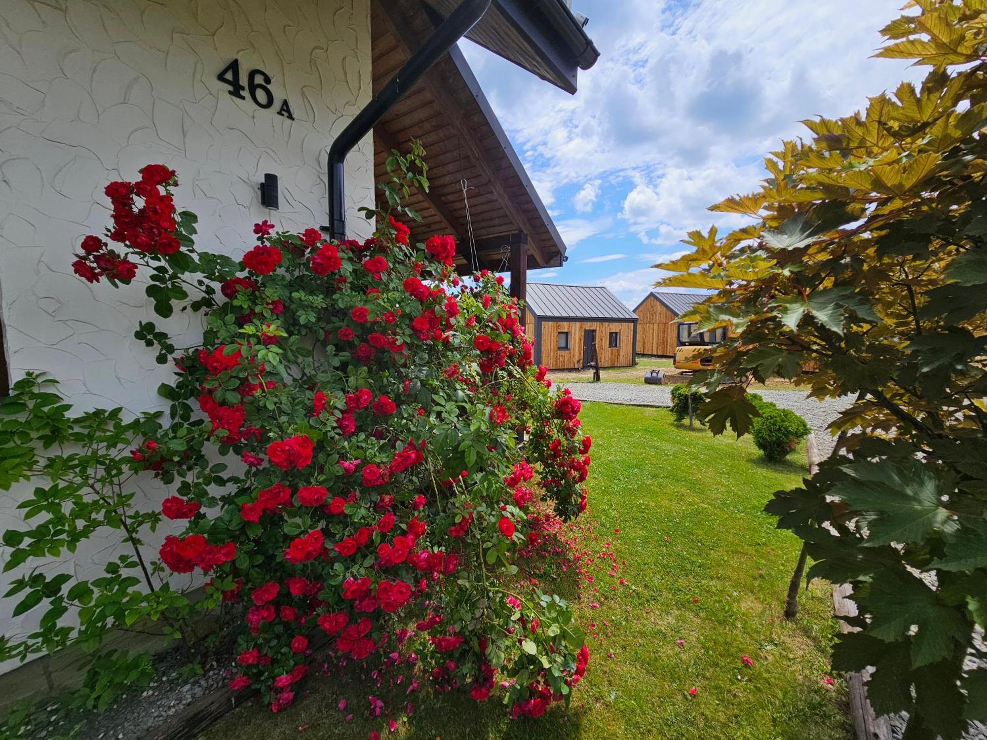 Chata W Bieszczadzie Apartamenty I Domki Z Sauna Bieszczady Поляньчик Экстерьер фото